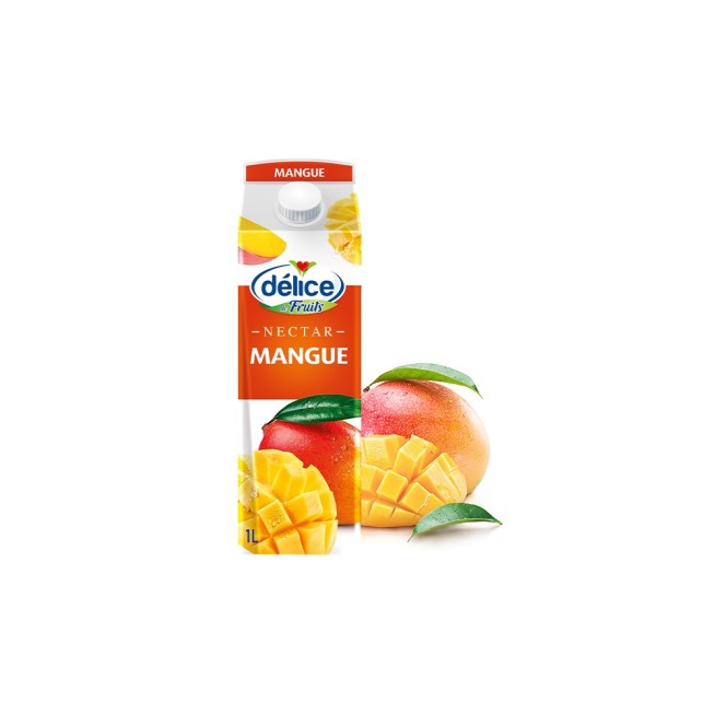 JUS DÉLICE DE FRUITS BOISSON AU JUS NECTAR MANGUE 1 L